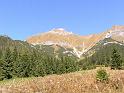 2010-09-24,121827-kubicek_foto