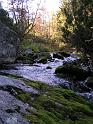 2010-09-24,152954-kubicek_foto