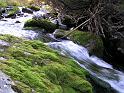 2010-09-24,153000-kubicek_foto